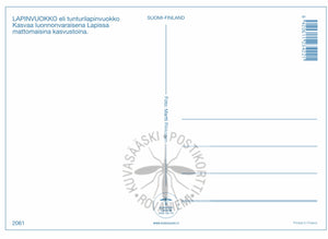 Kortti nro 2061 Lapinvuokko