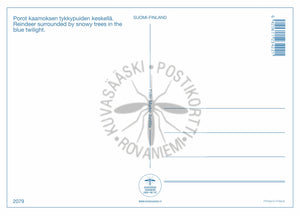 Kortti nro 2079 Porot kaamoksen tykyissä