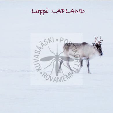 Magneetti poro Lappi Lapland 65 mm* 65 mm