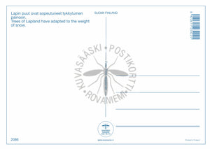 Kortti nro 2086 Kaamos tykyt ja tunturit
