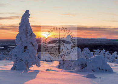 Kortti nro 2042 Auringonlasku ja tykyt