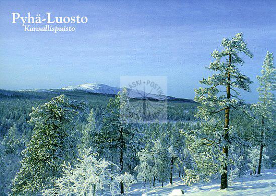 Kortti nro 1193 Pyhä-Luosto kansallispuisto