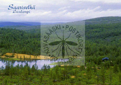 Kortti nro 1767 Luulampi Saariselkä