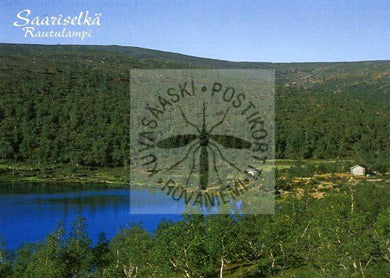 Kortti nro 1768 Saariselkä Rautulampi