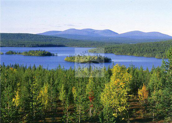 Kortti nro 1773 Särkijärvi