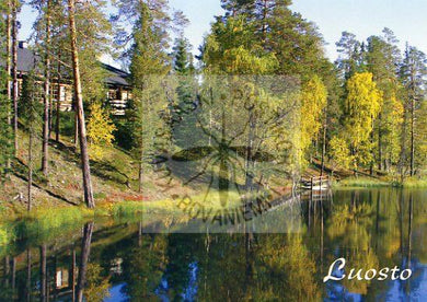 Kortti nro 1774 Luosto ruska