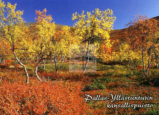 Kortti nro 1837 Pallas-Yllästunturin kansallispuisto ruska