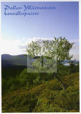 Kortti nro 1900 Pallas-Yllästunturin kansallispuisto kesä pysty