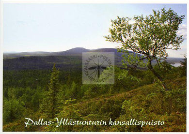 Kortti nro 1901 Pallas-Yllästunturin kansallispuisto kesä vaaka