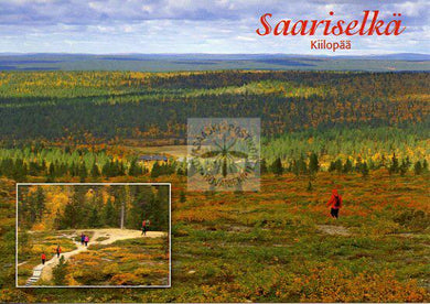 Kortti nro 1909 Saariselkä Kiilopää