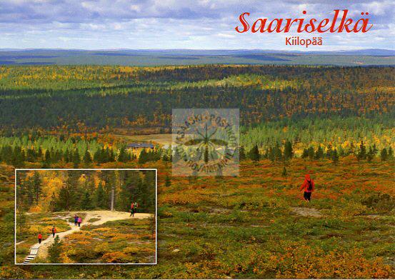 Kortti nro 1909 Saariselkä Kiilopää