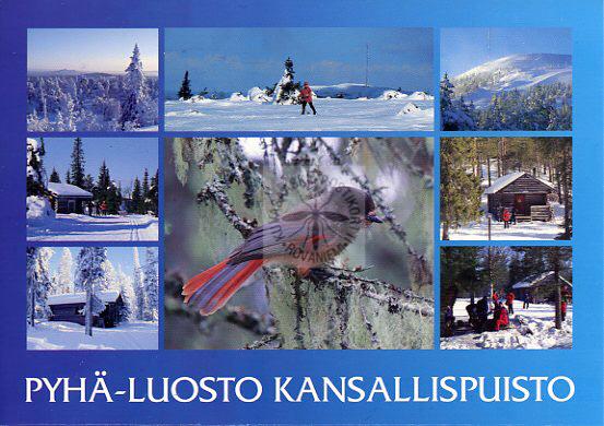 Kortti nro 1928 Pyhä-Luosto kansallispuisto kooste
