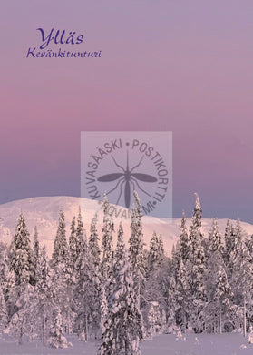 Kortti nro 2059 Ylläs Kesänkitunturi