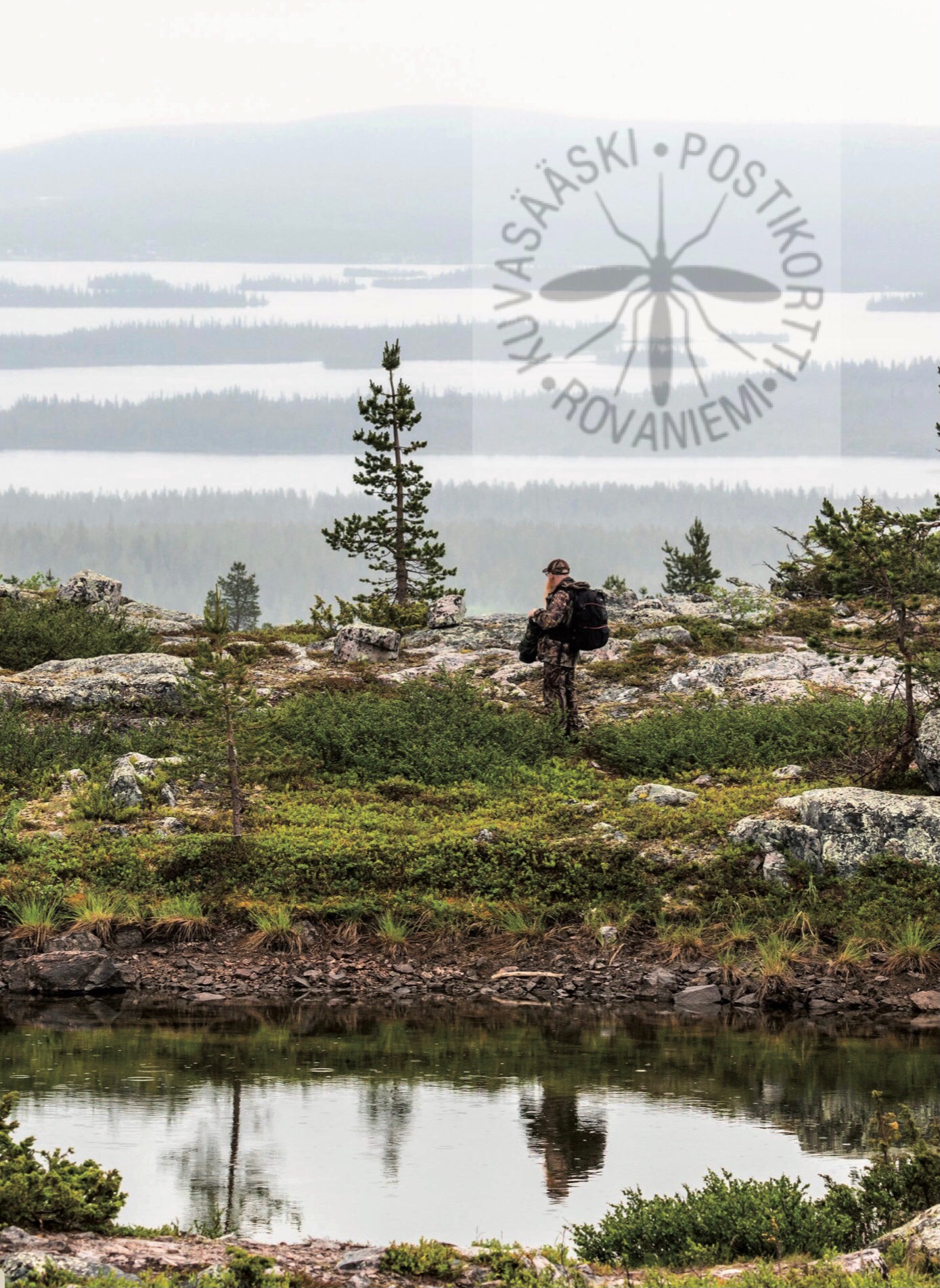 Kortti nro 2052, maisema Särkitunturista
