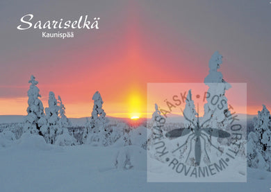 Kortti nro 1953 Saariselkä Kaunispää kaamos