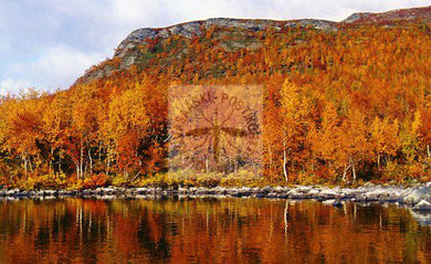 Kortti nro 1828 Kilpisjärvi Mallan ruskaa vaaka
