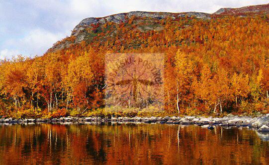 Kortti nro 1828 Kilpisjärvi Mallan ruskaa vaaka